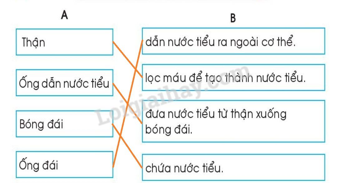 20240619022815screenshot-20211216-111740-chrome 20240619022815screenshot 20211216 111740 chrome