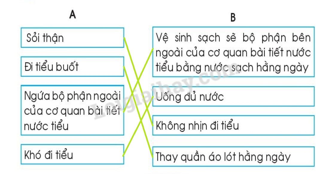 20240619022817screenshot 20211216 111839 chrome