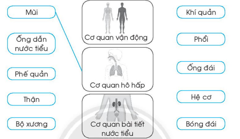 20240619022820iai-bai-25-on-tap-chu-de-con-nguoi-va-suc-khoe-trang-73-74-vo-bai-tap-tu-nhien-va-xa-hoi-lop-2-sach-chan-troi-sang-tao-1680064682_1 20240619022820iai bai 25 on tap chu de con nguoi va suc khoe trang 73 74 vo bai tap tu nhien va xa hoi lop 2 sach chan troi sang tao 1680064682 1