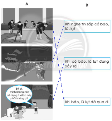 20240619022828bt1 2 1