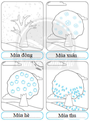 20240619022831bt1-2_3 20240619022831bt1 2 3