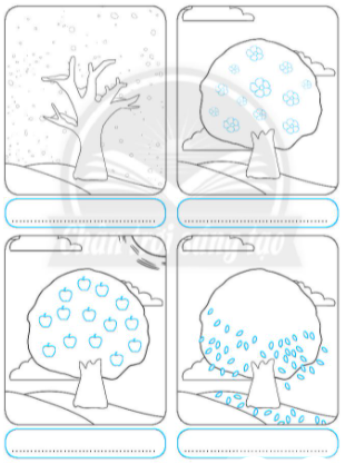 20240619022831bt1_2 20240619022831bt1 2