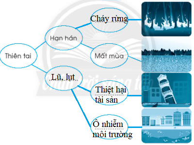 20240619022831bt3-2 20240619022831bt3 2