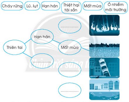 20240619022831bt3_2 20240619022831bt3 2