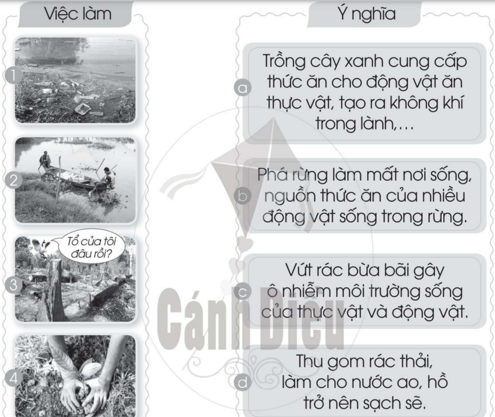 20240619022910giai bai 12 bao ve moi truong song cua thuc vat va dong vat trang 37 38 vo bai tap tu nhien va xa hoi lop 2 sach canh dieu 1680064738