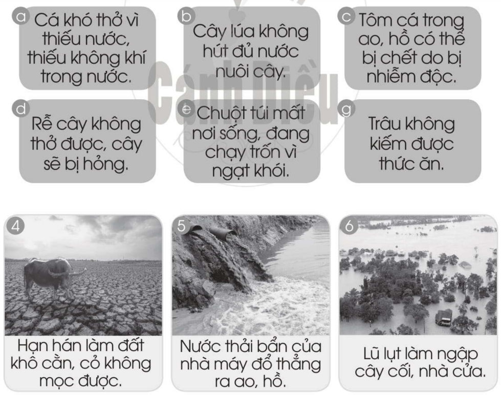 20240619022910iai bai 12 bao ve moi truong song cua thuc vat va dong vat trang 37 38 vo bai tap tu nhien va xa hoi lop 2 sach canh dieu 1680064738 2