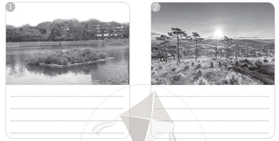 20240619022910iai bai 12 bao ve moi truong song cua thuc vat va dong vat trang 37 38 vo bai tap tu nhien va xa hoi lop 2 sach canh dieu 1680064738 3