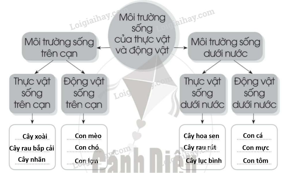 20240619022915trang 41 hinh 1