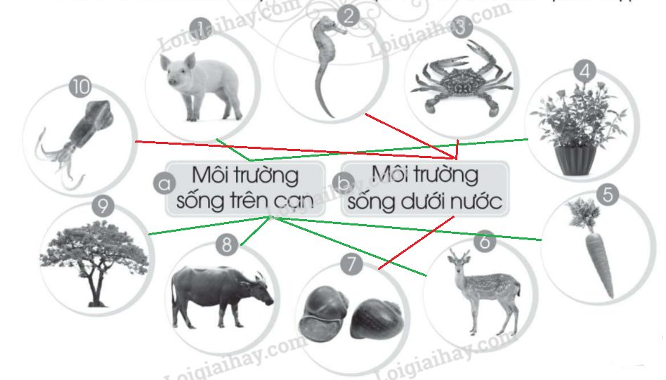 20240619022915trang 41 hinh 2