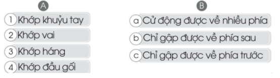 20240619022917iai bai 14 co quan van dong trang 42 43 vo bai tap tu nhien va xa hoi lop 2 sach canh dieu 1680064757 4