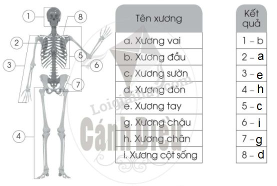 20240619022917trang 42 hinh 1 a