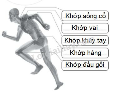 20240619022917trang 42 hinh 1 b