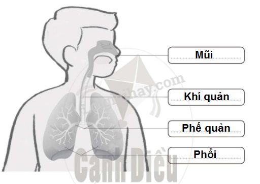 20240619022923trang 46 hinh 1
