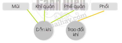 20240619022923trang 47 hinh 4