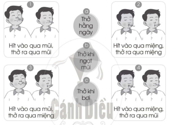 20240619022925giai bai 17 bao ve co quan ho hap trang 42 43 vo bai tap tu nhien va xa hoi lop 2 sach canh dieu 1680064778 1