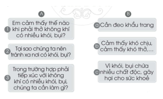 20240619022925iai bai 17 bao ve co quan ho hap trang 42 43 vo bai tap tu nhien va xa hoi lop 2 sach canh dieu 1680064778 2