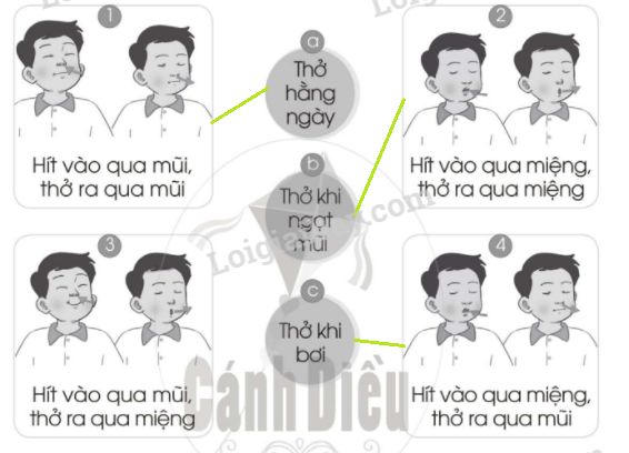 20240619022925trang 48 hinh 1