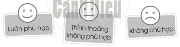 20240619022927bt11 20240619022927bt11