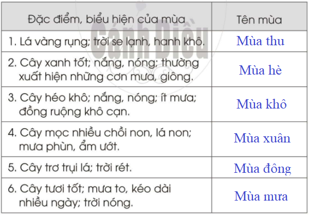 20240619022927bt4-2_1 20240619022927bt4 2 1