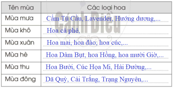 20240619022927bt9-2 20240619022927bt9 2