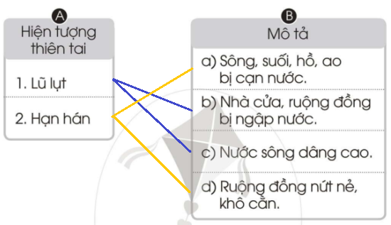 20240619022933bt1 2 5