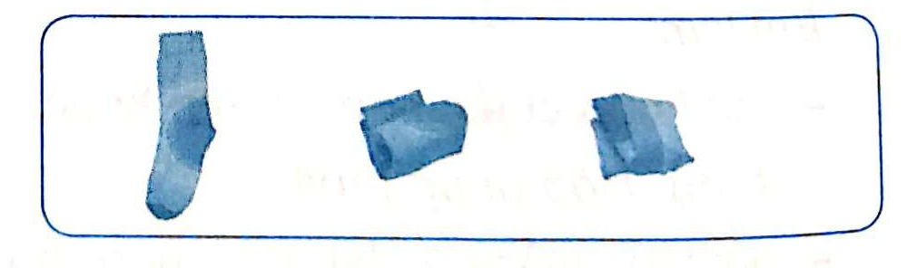 2024061903181565yrtfgf_1 2024061903181565yrtfgf 1