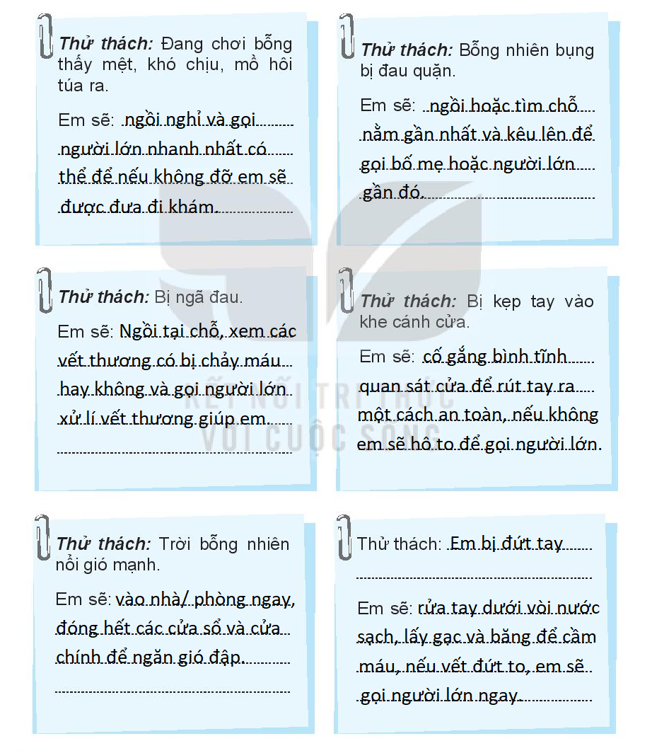 20240619031856untitlednl_1 20240619031856untitlednl 1