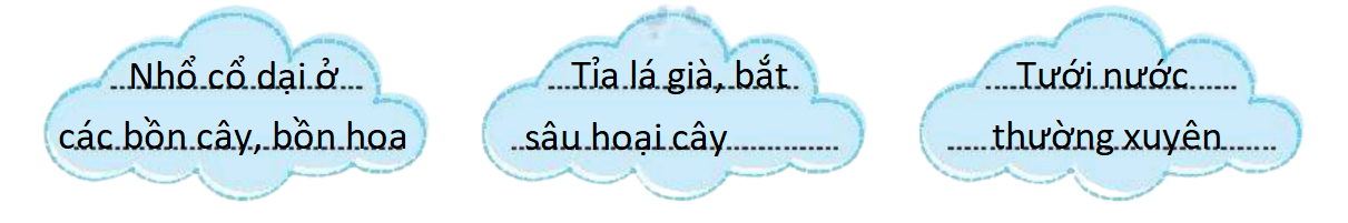 2024061903195316 removebg preview 1