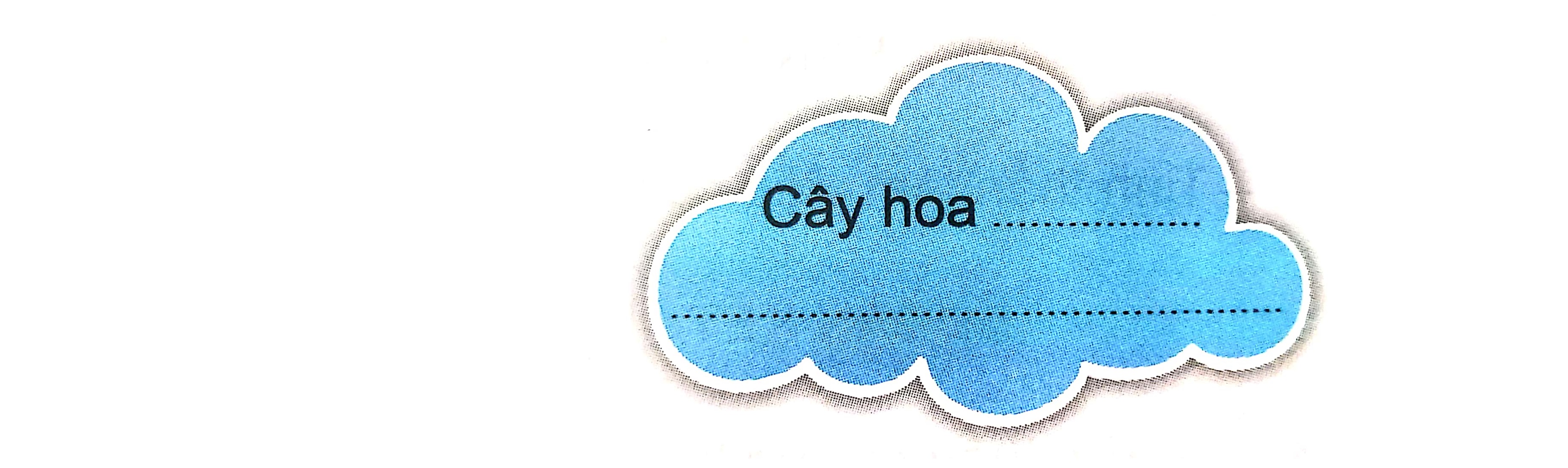 2024061903200345f8f7e2cea604f85db7