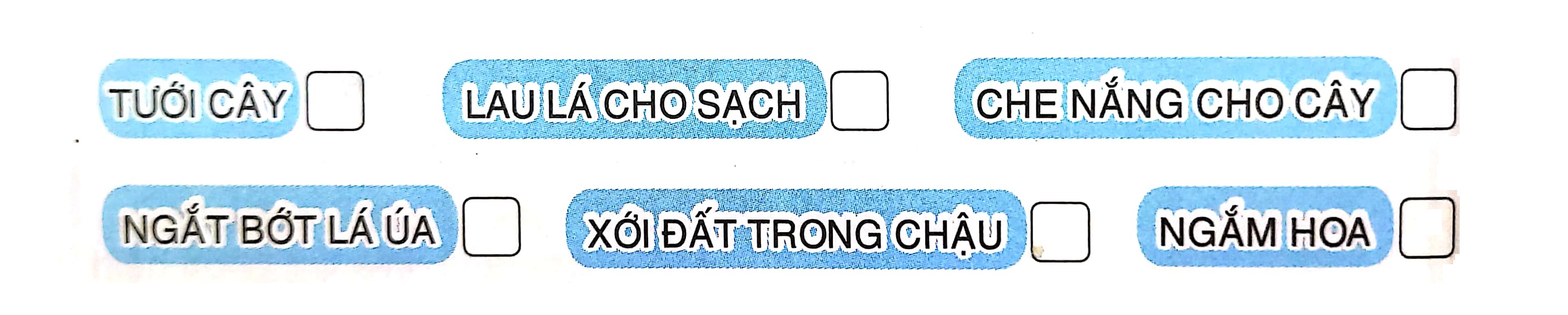 202406190320035c65efc1c4850edb5794