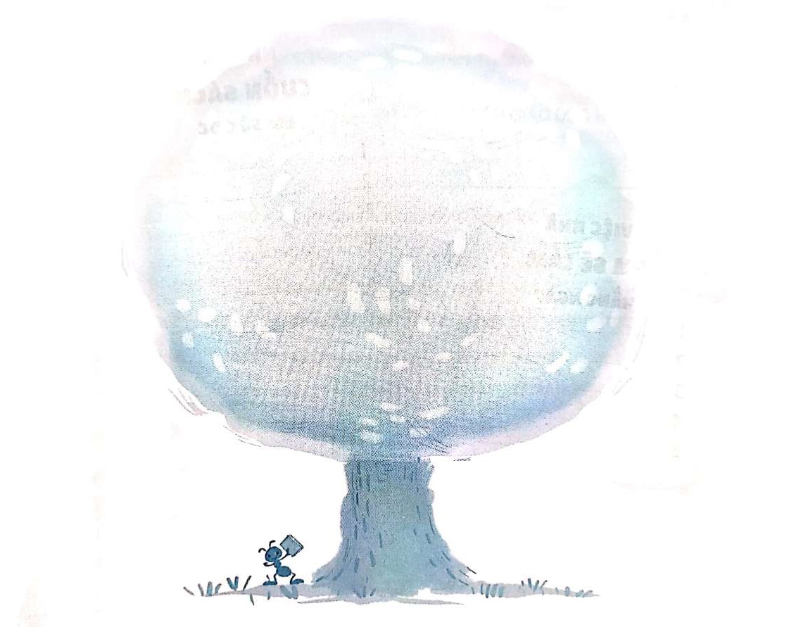 202406190320211639541032793_1 202406190320211639541032793 1