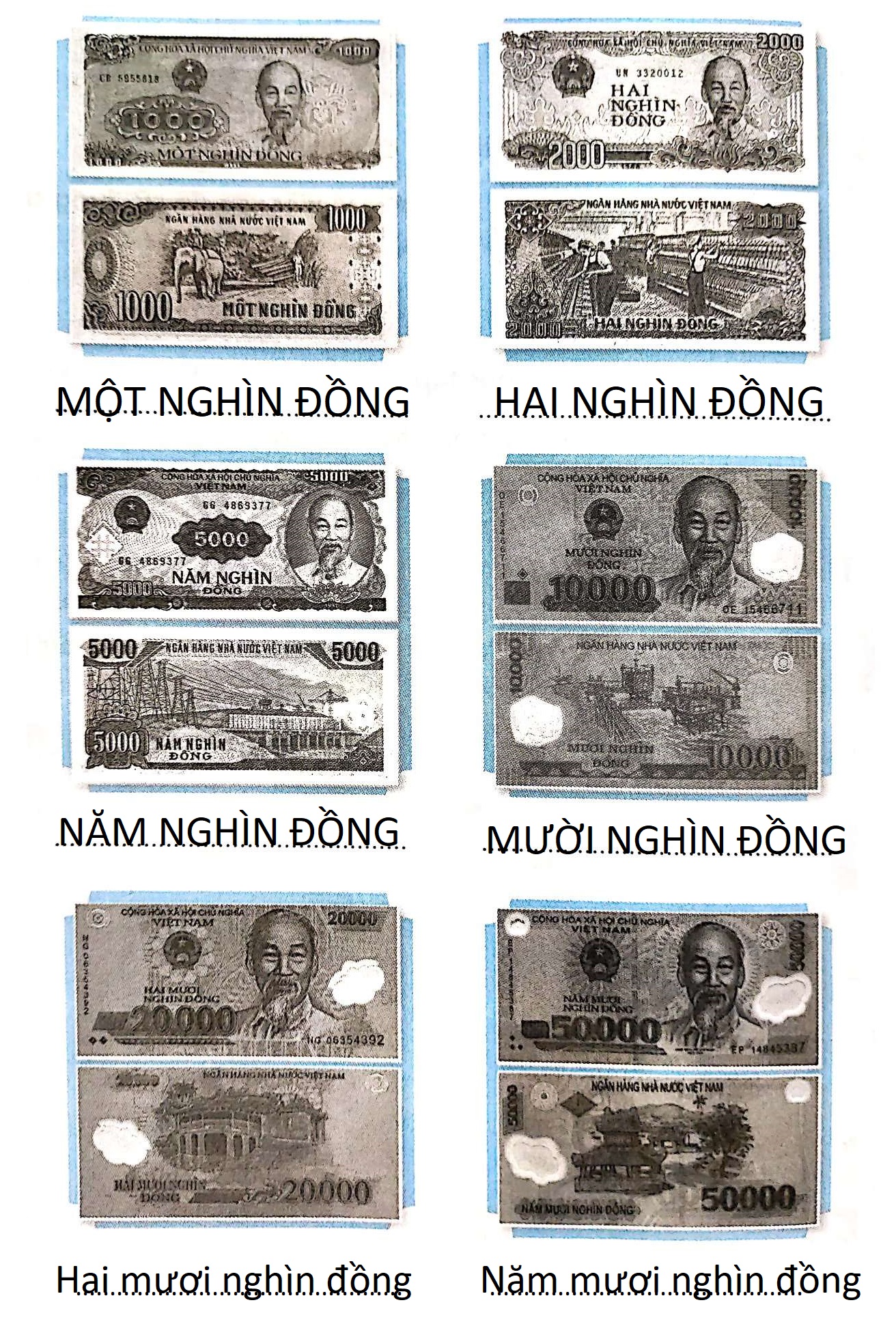 202406190327081639556044044 1