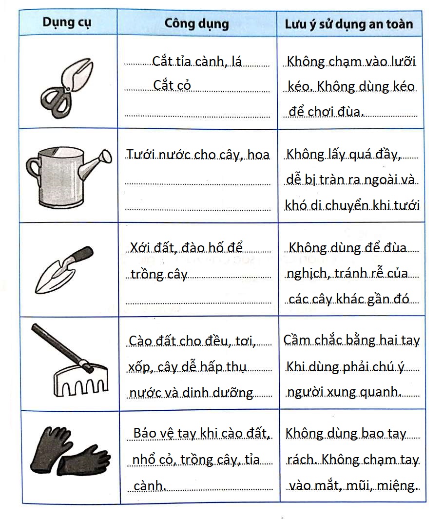 202406190336461639477023738 1