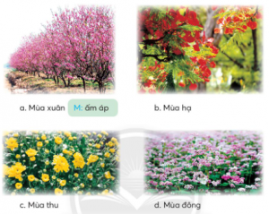 Tìm từ ngữ chỉ thời tiết phù hợp với đặc điểm của từng mùa. Đặt câu hỏi cho các từ ngữ in đậm: Vì mưa nhiều, thời tiết mát mẻ. Do nắng nóng kéo dài, cây cối bị khô 2 3 tc3acm te1bbab nge1bbaf che1bb89 the1bb9di tie1babft phc3b9 he1bba3p ve1bb9bi c491e1bab7c c491ie1bb83m te1bbabng mc3b9a 300x239 1