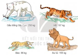 bai 1 trang 24 sgk toan 3 tap 1 300x212 1