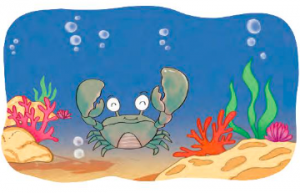 bai 4 trang 35 sgk toan 3 tap 1 ket noi tri thuc 300x193 1