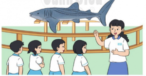 bai 5 trang 77 toan 2 tap 2 canh dieu 300x157 1