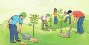 bai 6 trang 63 toan 2 tap 2 canh dieu 300x153 1