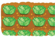 bai 7 trang 75 toan 2 tap 2