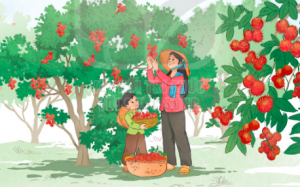 bai 8 tam biet mua he 300x187 2