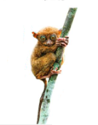 bang nhan 9 toan 3 chan troi sang tao