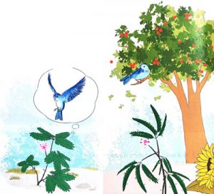 bc3a0i 1 cc3a2y nhc3bat nhc3a1t 300x272 1 1