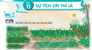 bc3a0i 11 se1bbb1 tc3adch cc3a2y thc3ac lc3a0 300x163 1