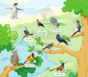 bc3a0i-23-the1babf-gie1bb9bi-loc3a0i-chim-300x263-1-1 bc3a0i 23 the1babf gie1bb9bi loc3a0i chim 300x263 1 1