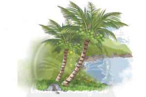 bc3a0i 3 cc3a2y de1bbaba 300x200 1 1