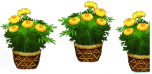 bc3a0i 3 trang 17 toc3a1n 2 te1baadp 2 chc3a2n tre1bb9di sc3a1ng te1baa1o 300x146 1