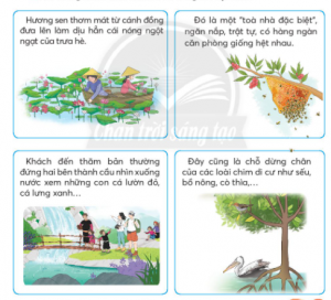 c3b4n te1baadp gie1bbafa he1bb8dc kc3ac 2 tie1babfng vie1bb87t 2 chc3a2n tre1bb9di sc3a1ng te1baa1o 300x272 1 1