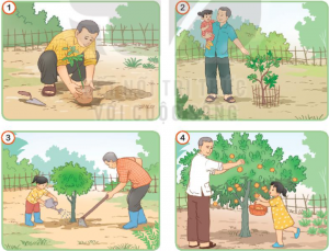 Tiết 5 Ôn tập và Đánh giá cuối học kì 1 Tiếng Việt lớp 3 Kết nối tri thức: Kể câu chuyện được thể hiện trong các tranh 7 cau 1 trang 147 tieng viet 3 300x229 1