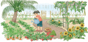 cau 2 trang 106 tieng viet 3 300x146 2