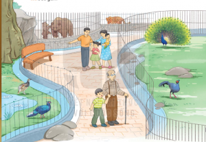 cau 2 trang 20 tieng viet lop 3 ket noi tri thuc 300x207 1